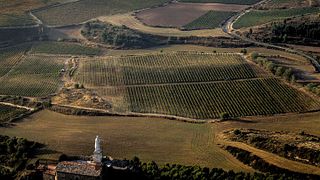 Degustazione di vini e tour a Bárbara Palacios