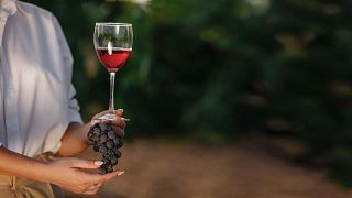 Tour Privado de Degustação de Vinhos saindo de Istambul