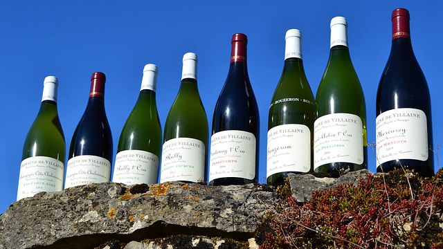 Cata y visita de vinos en el Domaine De Villaine
