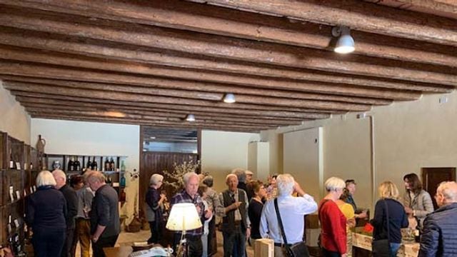 Cata de vinos y visita guiada en Villa Vitas