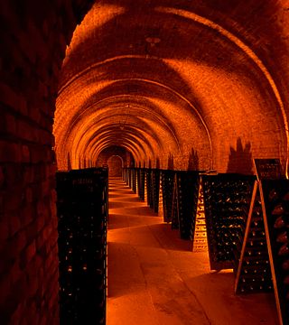 Une visite privée de la Champagne au départ de Paris