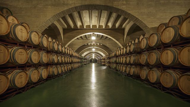 Wine Tasting and Vineyard Tour at Bodegas Corral