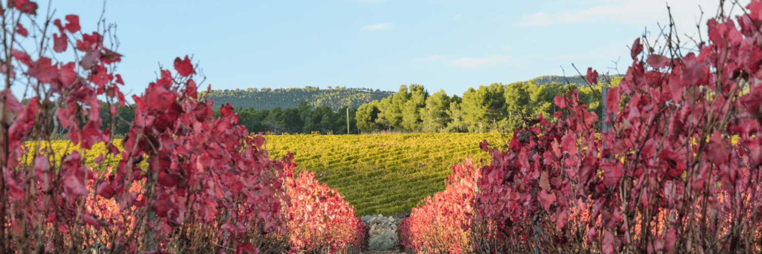 Priorat