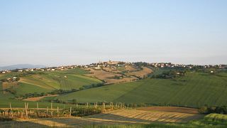 Relaxing Day of Wine and Local Flavors at Tenuta San Marcello