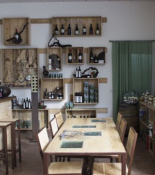 Weinprobe und Tour bei I Girasoli Di Sant'andrea