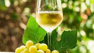 Albariño Wine Cellar with  Santiago City Tour