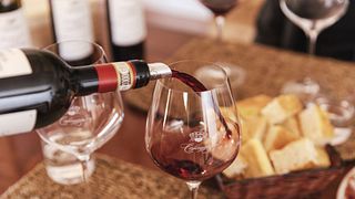 Cata completa de vinos en Cafaggio