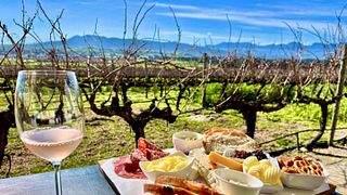 Visita y degustación en los viñedos de Arra