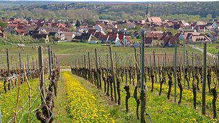 Weingut Klaus Henke