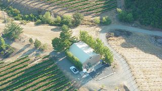BobDog Wines