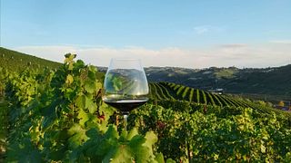 Claudio Alario Winery