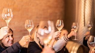 Degustación de vinos típicos de Cantina Olivero