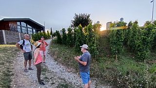 Côte-Rôtie in piena vista dai pendii alla cantina