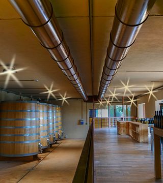 Azienda Agricola Teo Costa - Giobbe