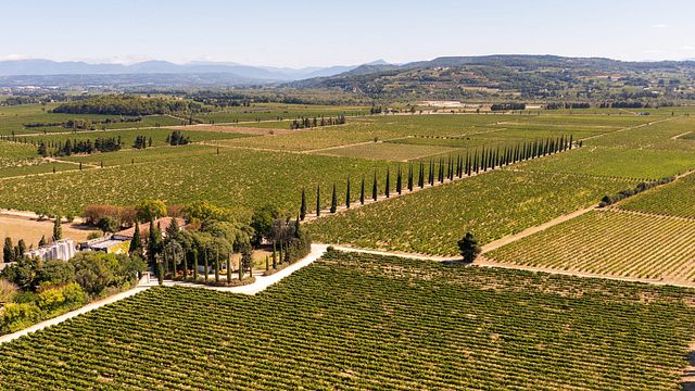 Vinprovning på Rhônedalens historiska domän | Domaine de la Présidente