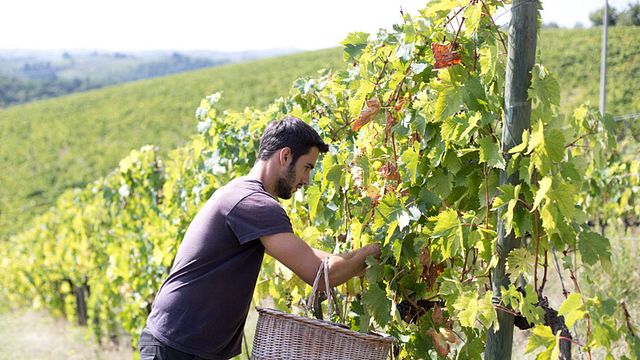 Terre Di Perseto in Chianti Classico