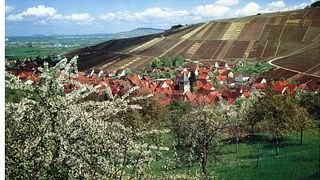 En vinprovning och rundtur på Weingut Kuhnle