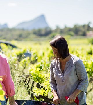 Domaine de la vieille