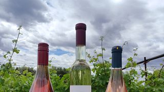 Degustazione di vini nella cantina Skoumpris
