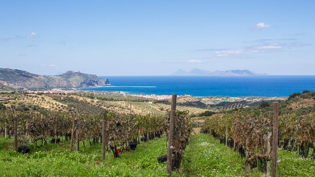 Weinprobe und Tour bei Cambria Wines