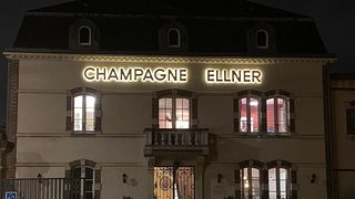 Cata de vinos y visita guiada a Champagne Ellner