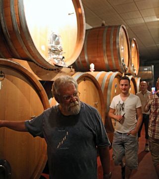 Visite nei locali della cantina, vigneti e degustazione dei vini più rappresentativi