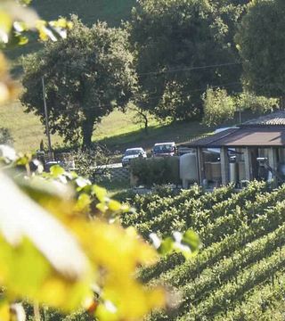 Tenuta Dell'Ugolino