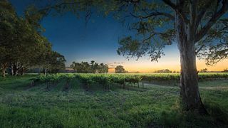 Tour hinter die Kulissen des Weinkellers | Bleasdale Vineyards