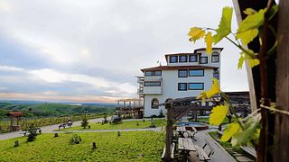 Degustação de vinhos e tour na Seven Generations Winery