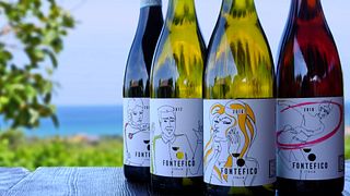 Weinprobe und Tour bei Fontefico
