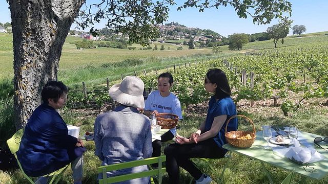 Vincent Grall Vigneron