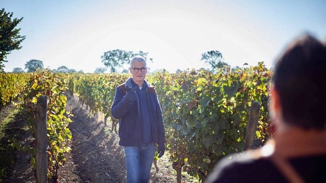 Cata de vinos y visita guiada al Domaine du Vieux Pressoir