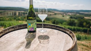 Balaton Vineyard Tour & Lakeside Wine Tasting