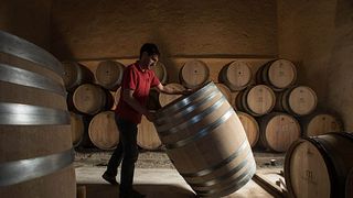 Degustazione di vini e visita al castello di Marmorières