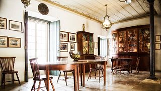Premium Wine Tasting and Tour at José Maria Da Fonseca Manor House
