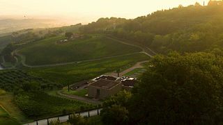 Tuscan Wine & Art Tour at Icario Winery