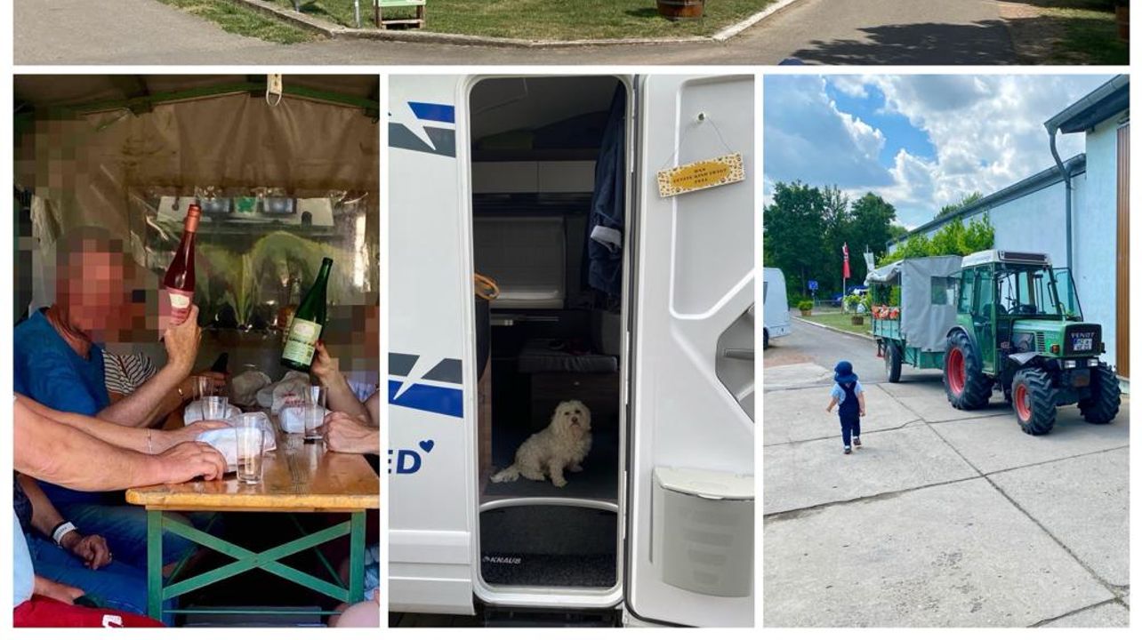 Aire de camping-car sur le domaine viticole H.Engelhard