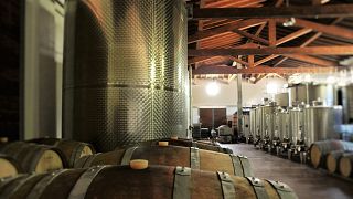 Cata de vinos y visita guiada a Tenuta L'Impostino