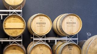 Baden Biodynamic - Vesper, Vides y Vino