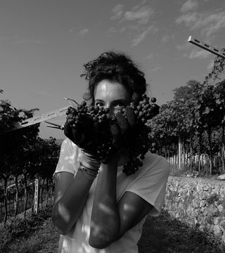 Clementi Winery