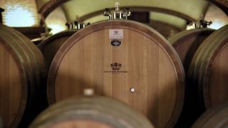 Piedmont Wine & Helicopter Tour at Cantine Povero