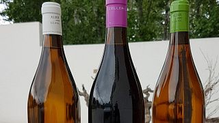 Degustazione popolare al Celler La Muntanya