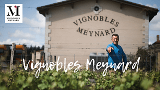 Wein + Käse + Rohkost bei Vignobles Meynard