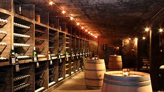 Visite et dégustation au Weingut P.Stettler