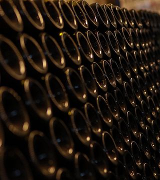 Cata de vinos y visita a los dominios franco-romanos