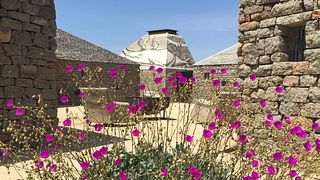 Clos De Tres Cantos