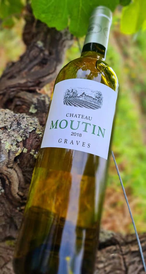 Chateau Moutin - Chateau Dauphiné-Rondillon