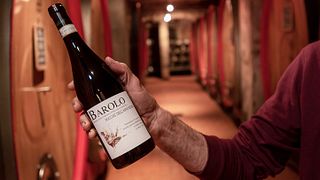 Vinprovning och rundtur på Azienda Agricola Erbaluna