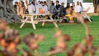 Pranzo con degustazione di vini e tour dei vigneti