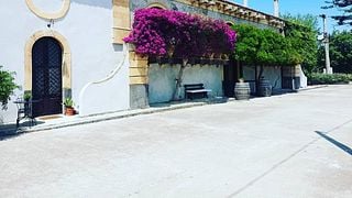 Wine tasting and tour at Tenute Mannino di Plachi | Sciarelle